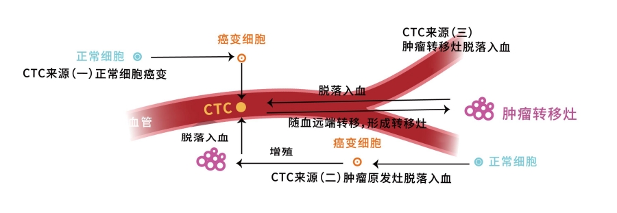 CTC介绍.jpg