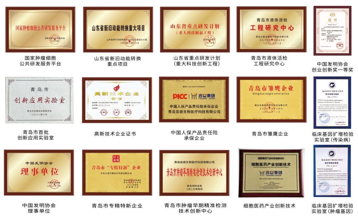 企业荣誉.png