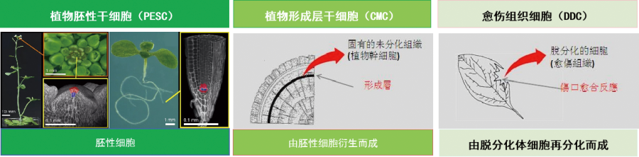 产品特性.png