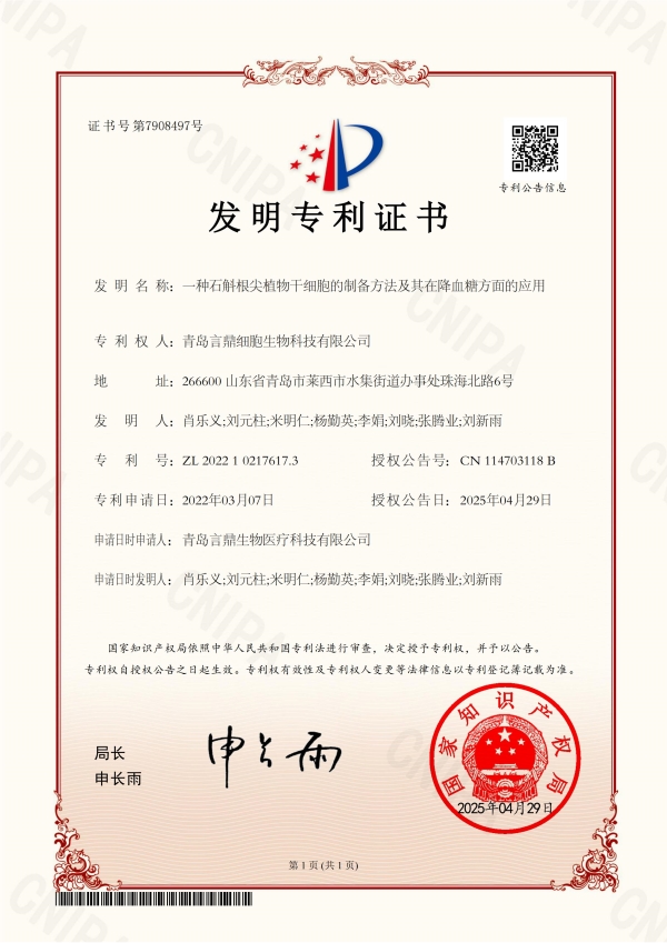 一种石斛根尖植物干细胞的制备方法及其在降血糖方面的应用.jpg