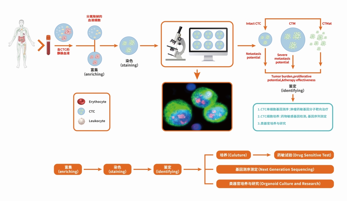 CTC技术路线 CTC技术路线.jpg