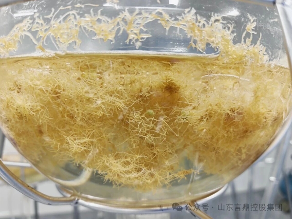 微信图片_2026-04-17_163028_285 微信图片_2026-04-17_163028_285.jpg