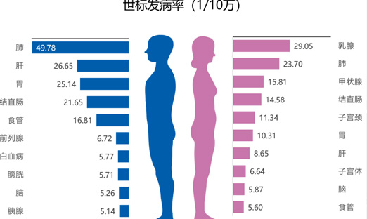 国家癌症中心：2022年全国癌症报告