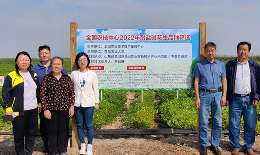 全国农技中心和山东省种子管理总站组织耐盐碱花生品种现场评价