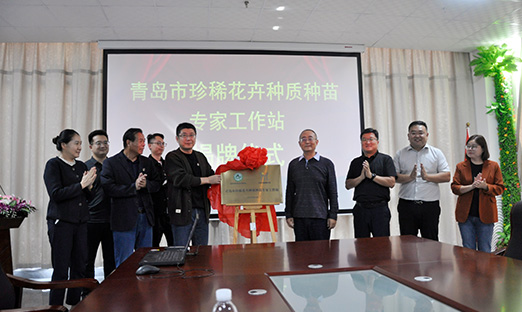 青岛市珍稀花卉种质种苗专家工作站揭牌，开启花卉产业新征程