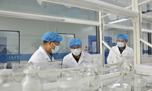 海华生物集团首席科学家李明义一行到访言鼎集团，共商合作新机遇