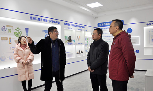 青岛饮料集团与言鼎集团深度合作，共同引领健康消费风尚