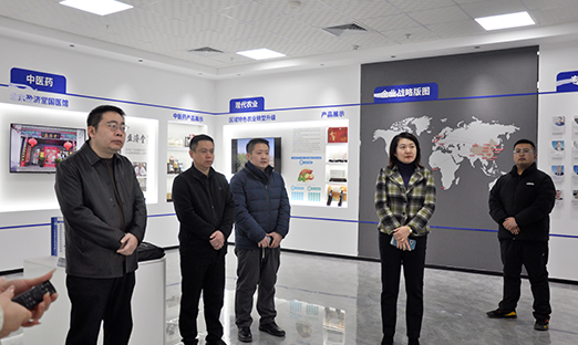 黄三角国家农高区滨海创智产业发展公司领导到访言鼎集团