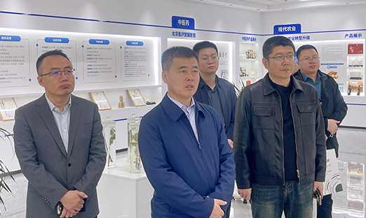 通辽开发区领导莅临言鼎集团考察交流 共绘合作新篇