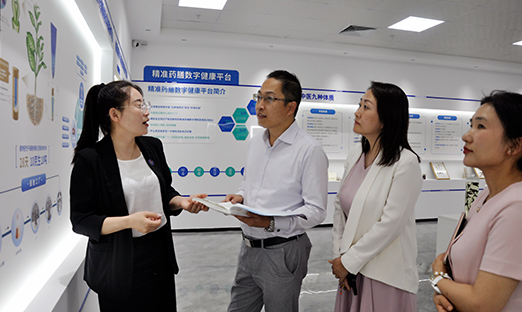 "扬帆出海·智赢未来"引智赋能，专家团队为言鼎全球化发展建言献策