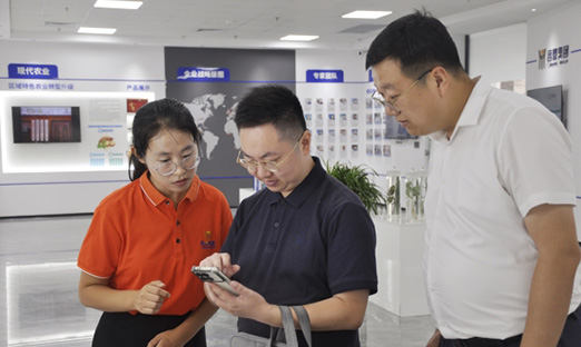 巴中市恩阳区领导莅临言鼎集团考察交流，携手共谋发展新探索