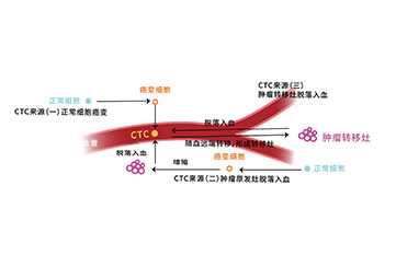 细胞液体活检技术Cell liquid biopsy technique（CLBT）